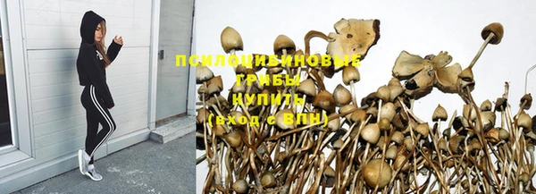 хмурый Абинск